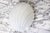 Large Shell Wall Lamp in Opal Glass from Glashütte Limburg, 1970s For Sale - Image 10 of 11