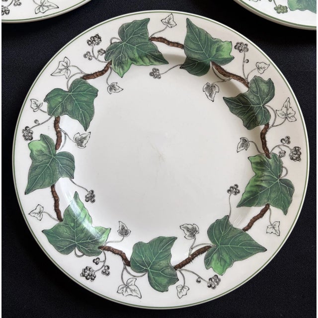 Classical Roman Napoleon Ivy Wedgwood Vintage Plates - Set of 5 For Sale - Image 3 of 8