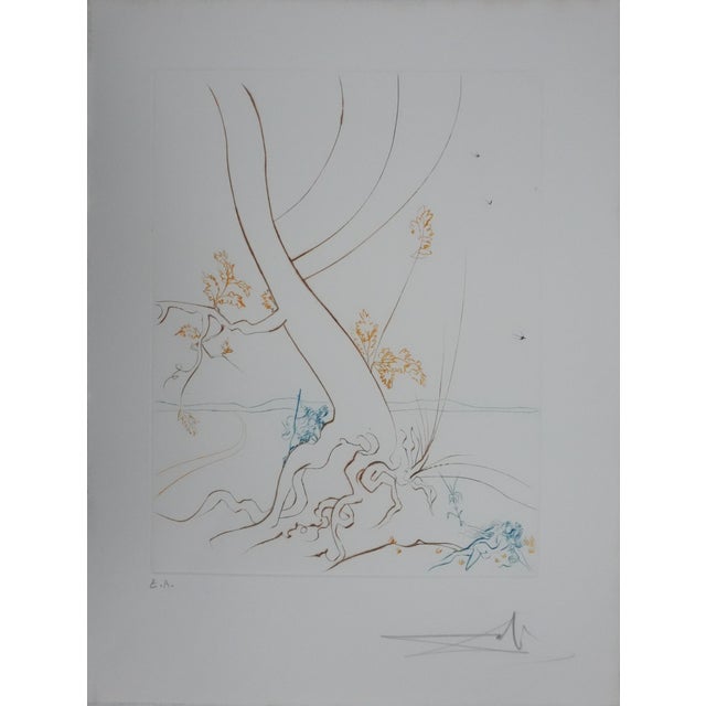 Salvador Dali, Paradise Lost: The Tree of Knowledge, 1974, Engraving For Sale - Image 11 of 11
