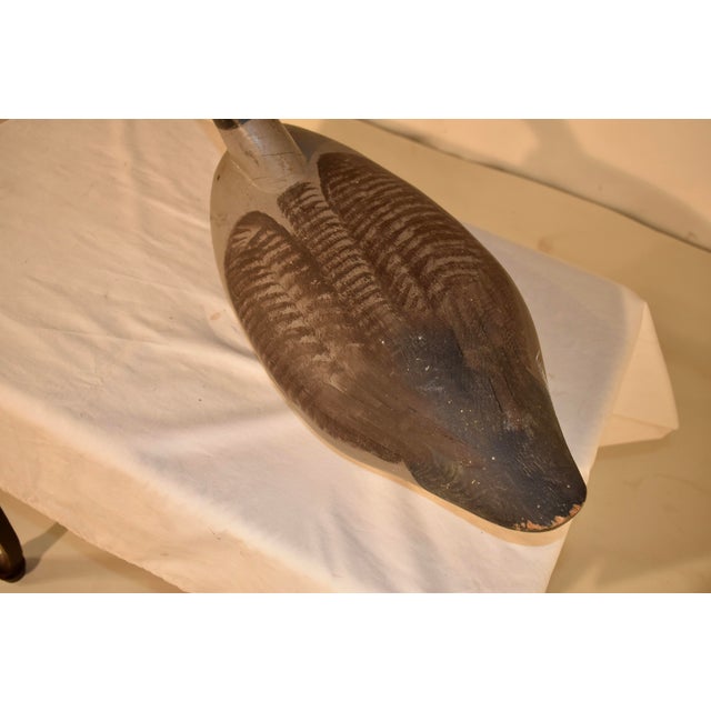 Wood 1930's Havre De Grace Canadian Goose Decoy For Sale - Image 7 of 15