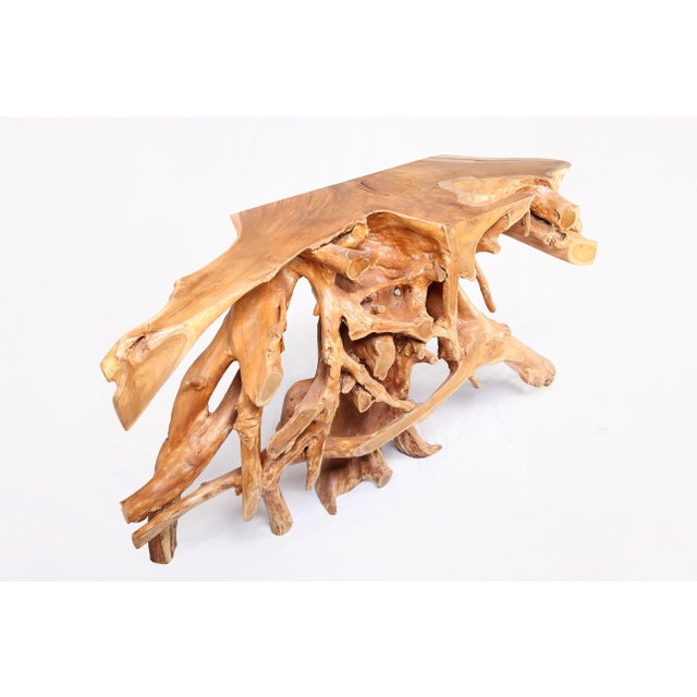 Naturel Teak Root Console Table, 55" Long Light Brown For Sale In Greensboro - Image 6 of 6