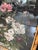 Victorian Early 20th Century Late Victorian Bamboo and Painted Glass Firescreen For Sale - Image 3 of 11