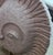 1970s 1970s Comanche Pottery Sun Sculpture by McCrea – Standing Mississippi Mud Volcanic Texture Brutalist Art For Sale - Image 5 of 11