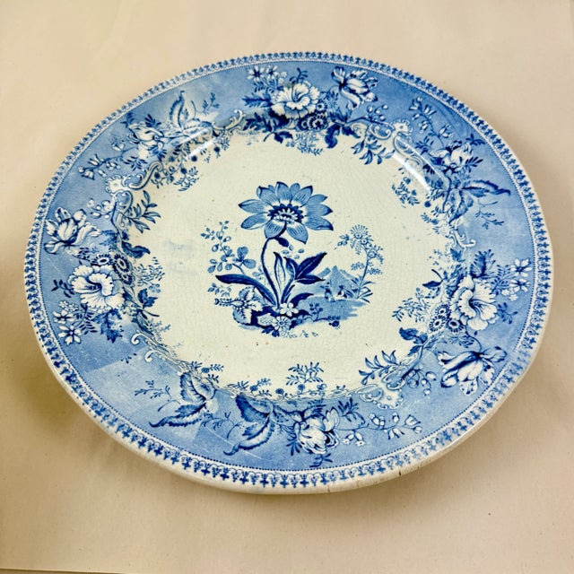 Mid 19th Century Elkin & Newbon English Botanical Beauties Dinner Plates, Set of Eight For Sale - Image 5 of 15