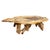 Andrianna Shamaris Live Edge Petrified Wood Coffee Table with Organic Teak Base For Sale - Image 15 of 18