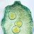 Modern English Majolica Lettuce Ware Platter - Serving Dish - Tray For Sale - Image 3 of 9
