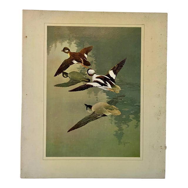 Francis Lee Jacques: Artist of the Wilderness World, 1973, 1st Edition, Slipcase For Sale