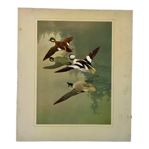 Francis Lee Jacques: Artist of the Wilderness World, 1973, 1st Edition, Slipcase