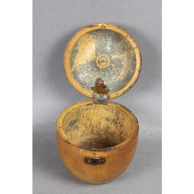 George III Applewood Teacaddy For Sale - Image 4 of 7
