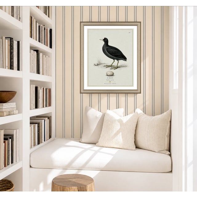 William Lewin 1789 Waterbirds Fine Art Gallery Board Print - The Coot For Sale - Image 10 of 12