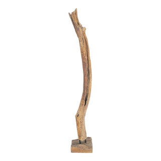 Mid Century Modern 78" Tall Narrow Drift Wood Sculpture Specimen on Wooden Base For Sale