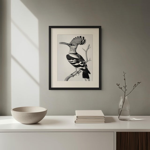 Illustration Black-and-White Hoopoe Bird Illustration — Museum-Quality Fine Art Print For Sale - Image 3 of 5
