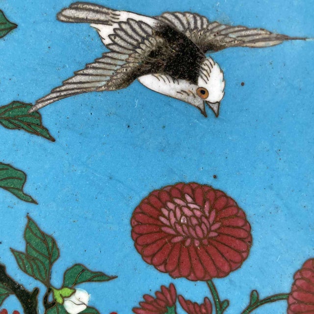Meiji Japanese Cloisonne Plates, Set of 2 For Sale - Image 5 of 12