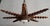 Wood Vintage Spanish Colonial Starburst Ceiling Lamp, 1940s For Sale - Image 7 of 10