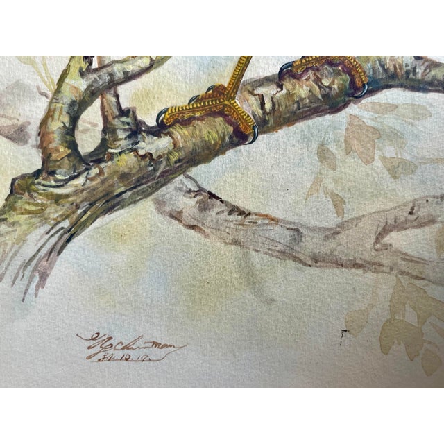 Vintage Watercolor Avian Animal Paintings, Signed & Framed Pair For Sale - Image 4 of 8