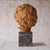 Early 19th Century French Terracotta Bust With Marble Base For Sale - Image 4 of 4