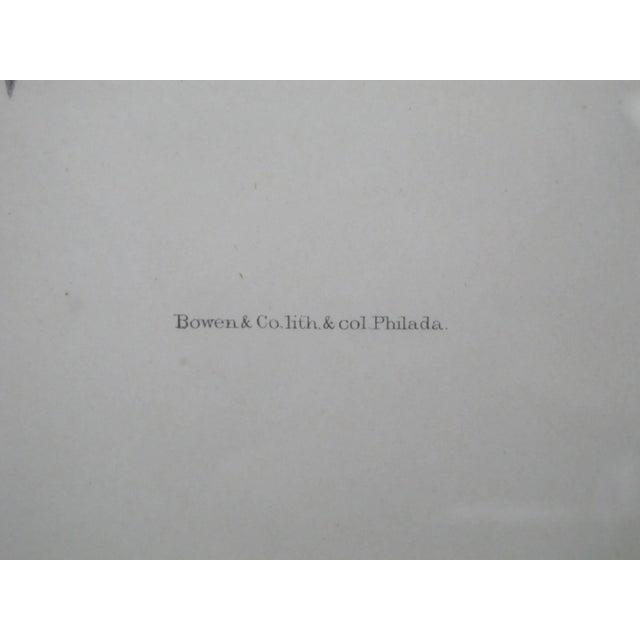 Mid 19th Century Daniel Giraud Elliot Hand Tinted C1869 Cinereus Thrush Framed Lithograph For Sale - Image 5 of 8