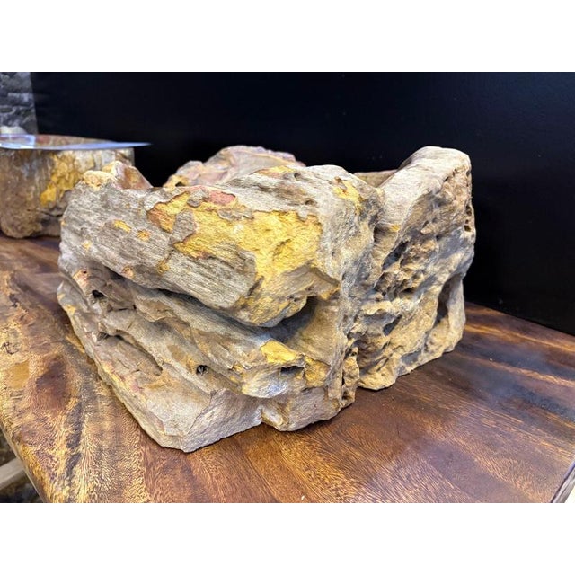 Modern Organic Petrified Wood Single Sink in Grey/ Brown & Yellow Tones For Sale - Image 6 of 8