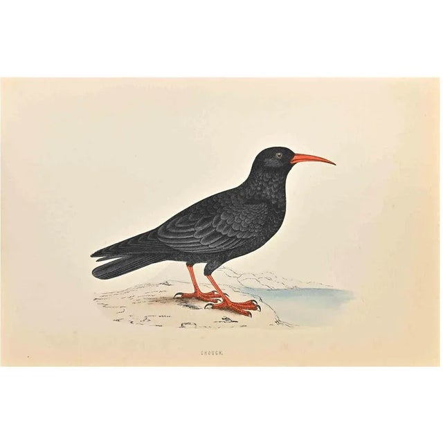 Chough is a modern artwork realized in 1870 by the British artist Alexander Francis Lydon (1836-1917). Woodcut print on...
