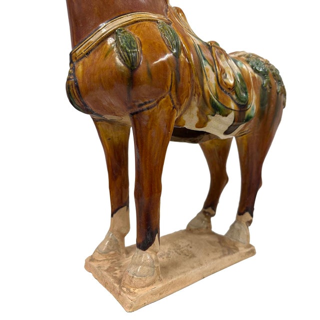 Brown Mid-20th Century Chinese Ceramic Tang SanCai (Tri Color)Horse For Sale - Image 8 of 15