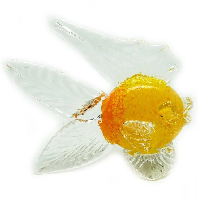 Multicolored fish: 17 cm x 12 cm x 6 cm Orange fish: 14cm x 14 cm x 6 cm