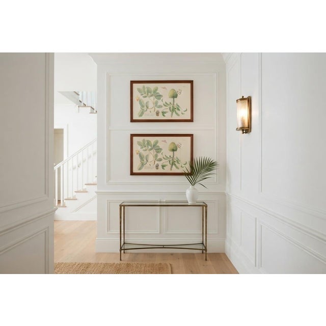 Pair of Vintage Botanical & Entomological Framed Art Prints For Sale - Image 10 of 12