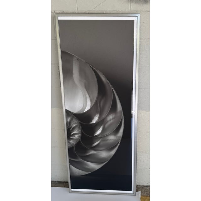Modern Soicher Marin Nautilus Set of 3 For Sale - Image 3 of 14