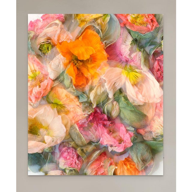 Pastel Color Abstract Poppies For Sale - Image 4 of 6