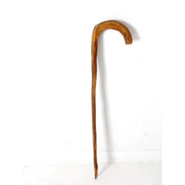 Vintage Wooden Cane For Sale - Image 9 of 10