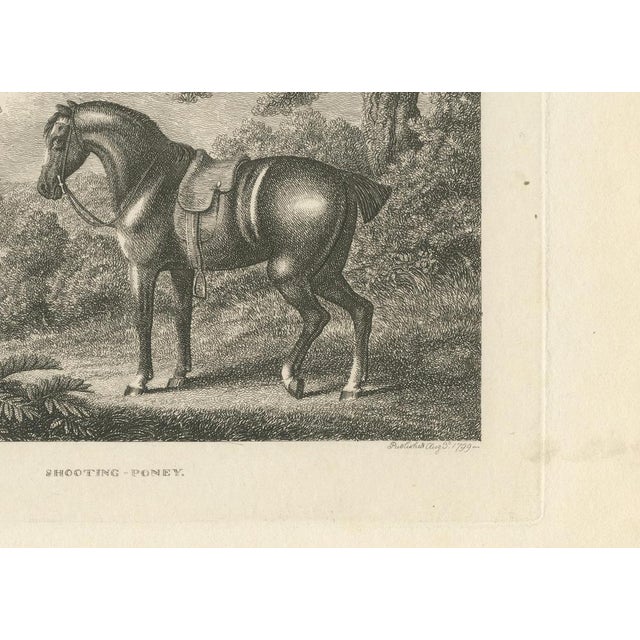 Samuel Howitt, Shooting Pony, 1799, Engraving For Sale - Image 6 of 10
