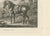 Samuel Howitt, Shooting Pony, 1799, Engraving For Sale - Image 6 of 10
