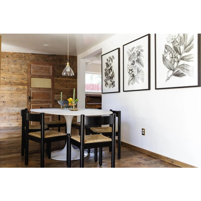 Contemporary Botanical (Torenia Asiatica Pulcherrima) Black and White Print For Sale - Image 4 of 4