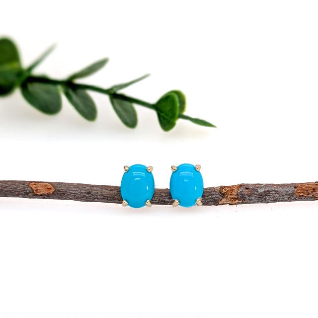 Contemporary Oval 8x6mm - Arizona Sleeping Beauty Turquoise Solitaire Studs in 14k Solid Gold- Set of 2 For Sale - Image 3 of 5