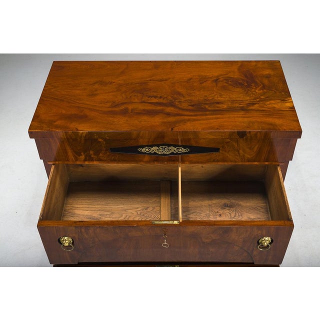 Wood Early 19th Century Biedermeier Mahogany Commodes, 1830s For Sale - Image 7 of 18