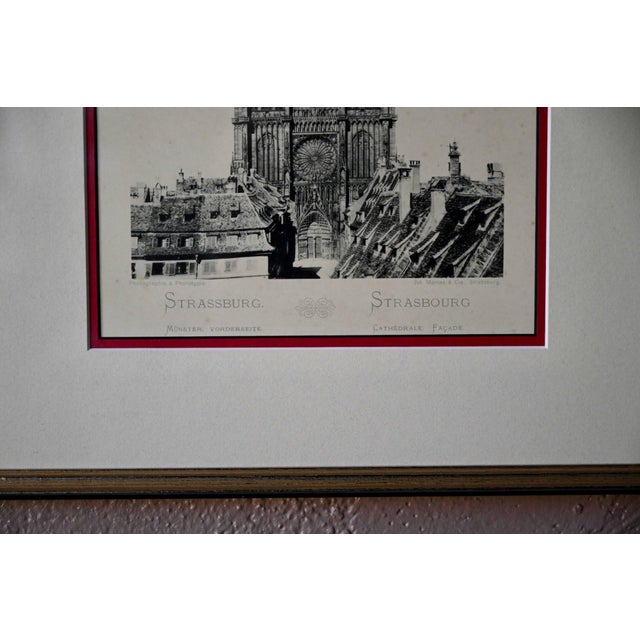 Julius Manias, Notre-Dame de Strasbourg, 1910, Antique Phototype For Sale - Image 4 of 8
