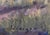 Hilltop Debut by Seth Winegar | Oil on Board Landscape with a house and trees at sunset For Sale - Image 4 of 5