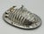 Emilia Castillo Silver Plate Armadillo Butter Dish With Malachite, Taxco Mexico For Sale - Image 9 of 18