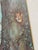 Baby Blue Trowbridge Bunnies and Fairies Print For Sale - Image 8 of 11