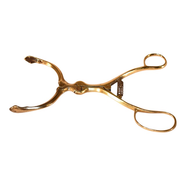 Pair of 19th Century English Brass Brazier Tongs For Sale