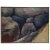 Modern Silent Energy of Nature Mixed-Media by Sally Crain-Jager For Sale