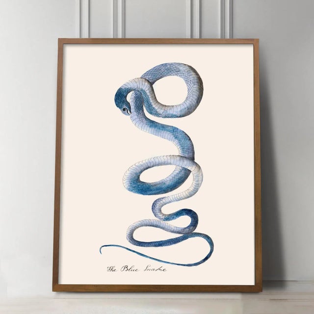 Reproduction Vintage Snake Print in Blue For Sale - Image 4 of 4