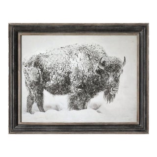 Framed Snowy Buffalo Reproduction Print For Sale