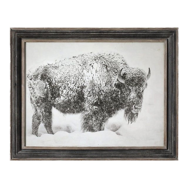 Framed Snowy Buffalo Reproduction Print For Sale