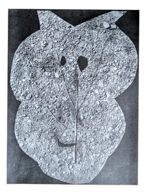 Pablo Picasso, Diurnes, Original Photoengraving, 1962