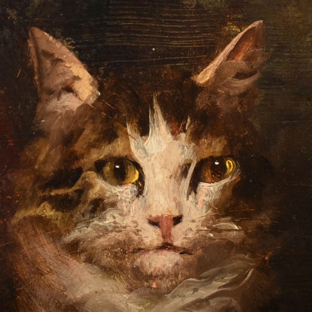 Jules Gustave Le Roy, Cats Portrait Painting, 1800, Oil Painting on Wood For Sale - Image 7 of 11