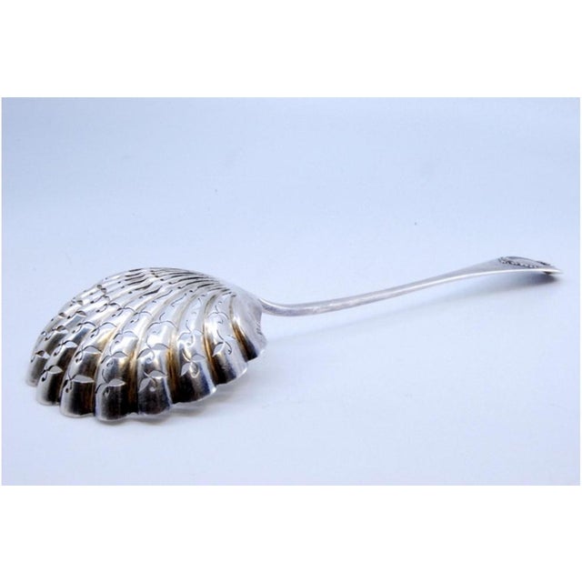 Shell-Shaped Silver Sprinkling Spoon For Sale - Image 4 of 9