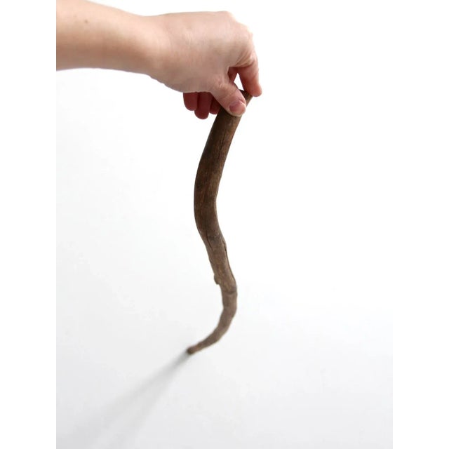 Antique Walking Stick For Sale - Image 4 of 11