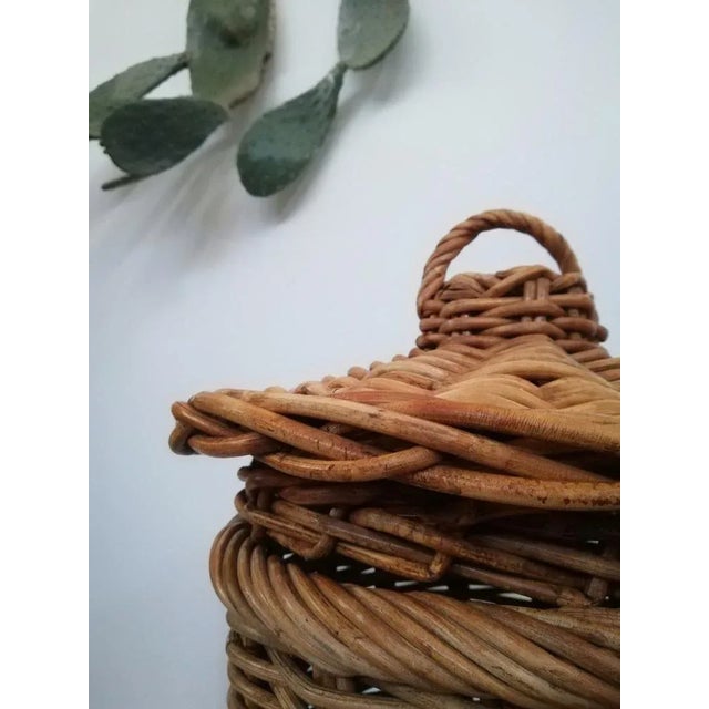 1950s Large Italian Hand-Woven Willow Basket with Lid, 1950s For Sale - Image 5 of 18