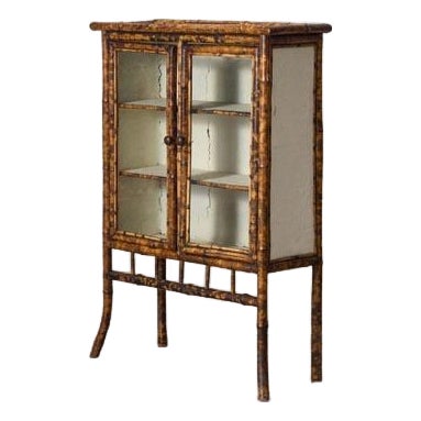19th Century Tortoise Bamboo 2-Door Glass Front Cabinet For Sale