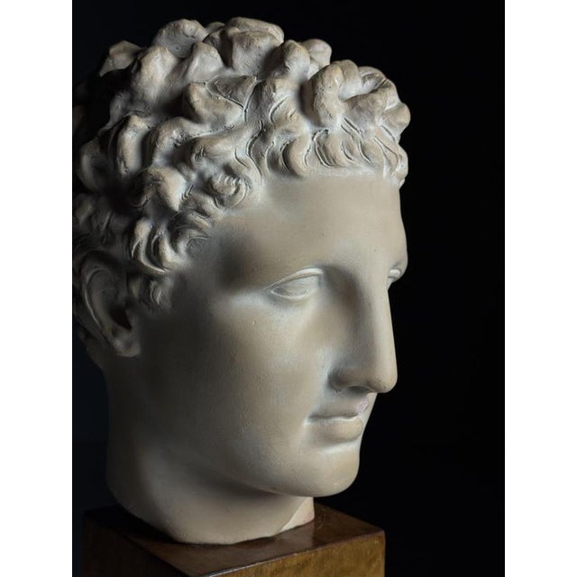 Greek Head Statue in Plaster For Sale - Image 13 of 14